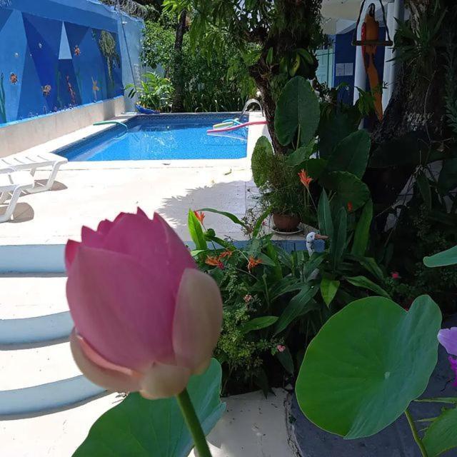Porto Bahia Hotel Porto Seguro Eksteriør billede